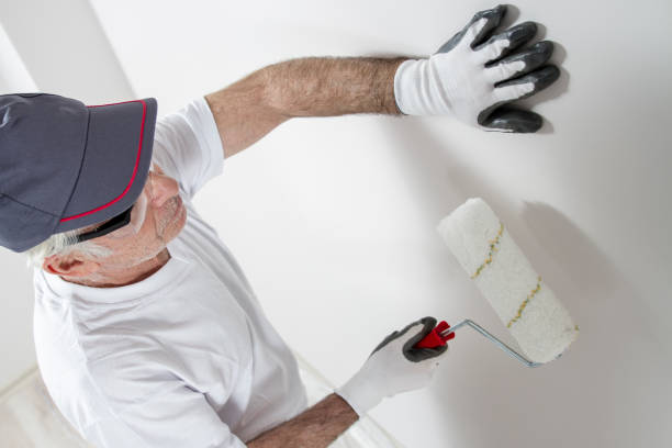 Best Comprehensive Air Testing for Mold Contaminants  in Harrogate, TN