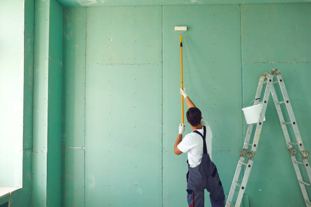 Reliable Harrogate, TN Mold Removal Solutions