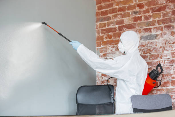 Best Commercial Mold Inspection  in Harrogate, TN
