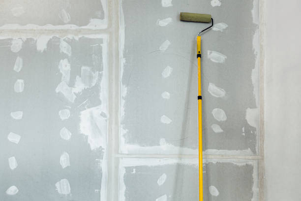 Best Basement Mold Removal  in Harrogate, TN